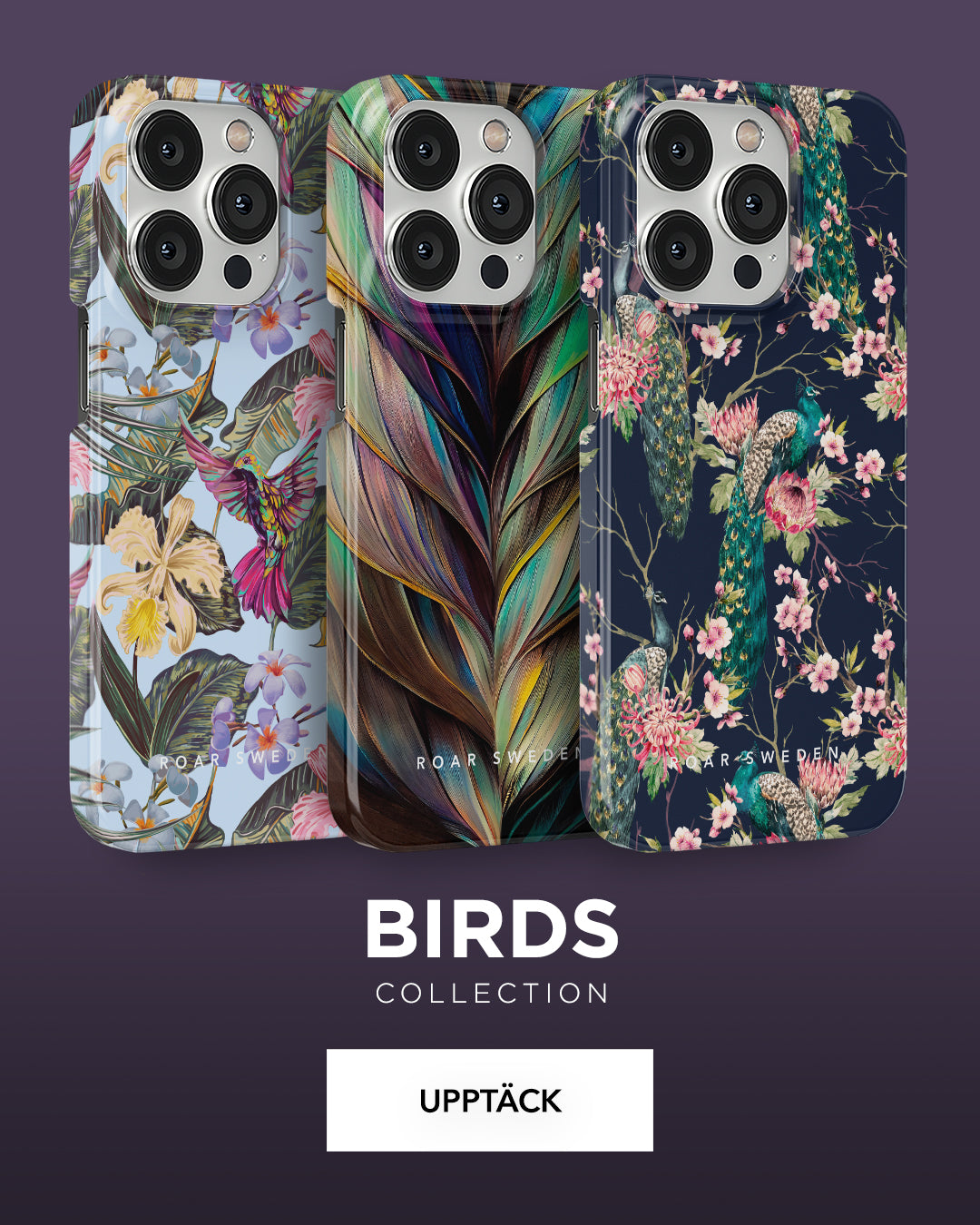 Birds - Collection