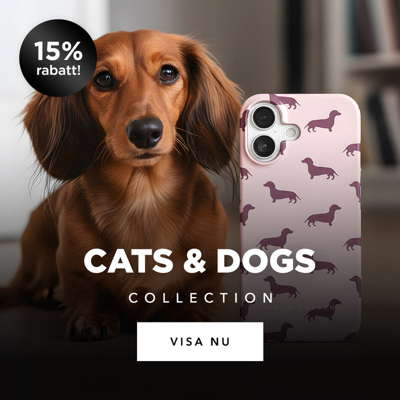 Cats & Dogs - Collection