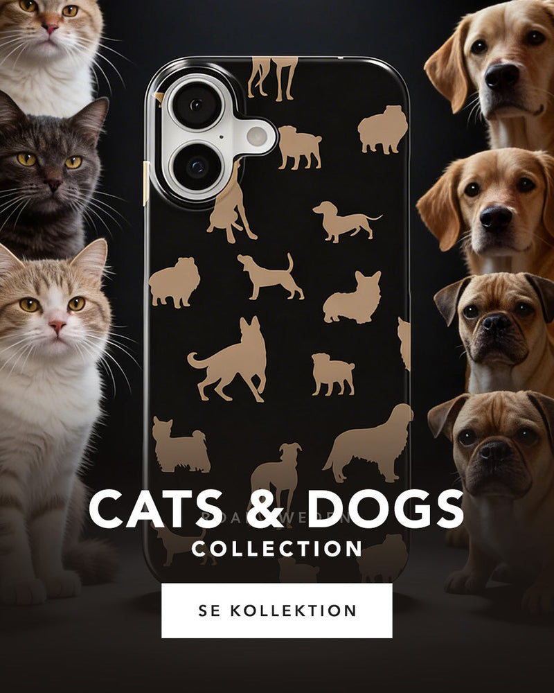 Cats & Dogs - Collection