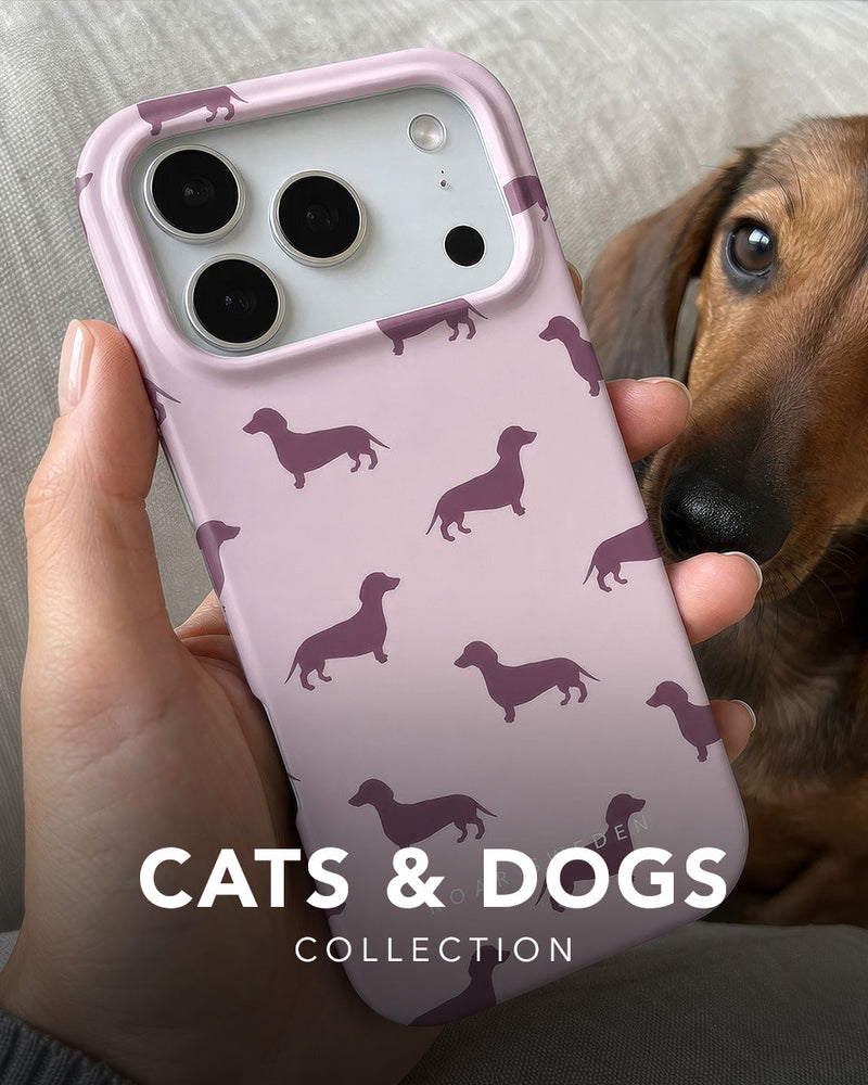 Cats & Dogs - Collection