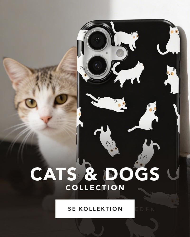 Cats & Dogs - Collection