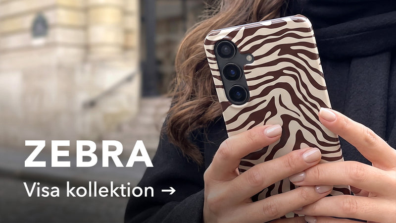 Zebra - Collection